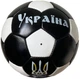 Футбольный мяч Sphere Ukraine черный (кожаный мяч) - изображение 1