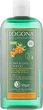 БИО-Шампунь-реконструктор волос "Облепиха" - Logona Repair & Care Shampoo 250ml (852078-31161276) - изображение 1
