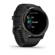 Смарт-часы Garmin Venu 2 Slate Stainless Steel Bezel with Black Case and Silicone Band (010-02430-11/01) - изображение 3