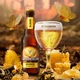 Упаковка пива Grimbergen Blonde 6.7% 0.33 л x 24 шт (3080216034508) - изображение 3