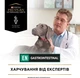 Ветеринарна дієта для собак Purina Pro Plan Veterinary Diets EN Gastrointestinal сухий корм при хворобах ШКТ 1,5 кг (7613287587800) - зображення 6