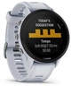 Спортивные часы Garmin Forerunner 955 Whitestone (010-02638-11/31) - изображение 2