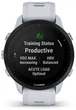 Спортивные часы Garmin Forerunner 955 Whitestone (010-02638-11/31) - изображение 3