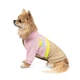 Товстівка для собак Pet Fashion «Daisy» S-2 (рожева/бежева) - зображення 1