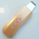 Аппарат LS-1000 GOLD ультразвуковой портативный скрабер чистки лица, фонофорез, микромассаж - изображение 15
