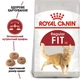 Сухий корм для котів Royal Canin Fit 2 кг + 400 г - изображение 3