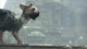 Гра The Last Guardian. Останній хранитель для PS4 (Blu-ray диск, Russian subtitles) - зображення 6