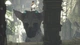 Гра The Last Guardian. Останній хранитель для PS4 (Blu-ray диск, Russian subtitles) - зображення 8