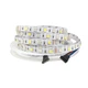 Світлодіодна LED стрічка гнучка 12V PROlum ™ IP20 5050\60 Series "SG" RGB-W 320101 - зображення 1