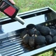 Вентилятор (турбінка) BBQ Fan для барбекю з ручкою - зображення 6