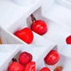 Машинка для удаления косточек отделитель косточек из вишни черешни маслин и оливок UKC Cherry Pitter (D-2019091084) - изображение 3