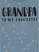 Реглан для мальчика синий Grandpa George 98-104см (40005527) - изображение 3
