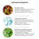 Увлажняющий крем с маслом какао Benton Cacao Moist and Mild Cream, 50мл - изображение 3
