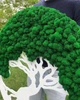 Панно,картина, дерево со стабилизированым мхом А класу MiNature Moss 80 см - изображение 2