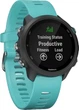 Смарт-годинник Garmin Forerunner 245 Black Music/Aqua (010-02120-32) - зображення 2