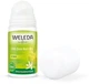 Дезодорант "Цитрус. 24 часа" - Weleda 24h Citrus Deodorant Roll–On 50ml (426733-31015852) - изображение 2