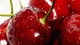 Машинка для удаления косточек с вишни Helfer Hoff Cherry and olive corer - изображение 8