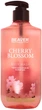 Гель для душу з екстрактом квітів сакури - Beaver Professional Cherry Blossom Body Wash 400ml (711367-24812) - изображение 1