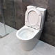 Унитаз-компакт DUSEL MARSEILLE DTPT10212730R с бачком и сиденьем Soft Close дюропласт - изображение 7