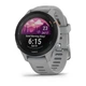 Смарт-годинник Garmin Forerunner 255s припилено-сірий (010-02641-12) - зображення 1