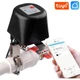 Умный контроллер активатор Tuya Smart Valve для шаровых кранов для управления подачей воды, газа - изображение 1