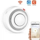 Wifi датчик дыма Tuya Wifi Smoke Detector, с сиреной и оповещением на смартфон - изображение 1