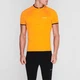 Футболка Pinnacle Sleeve Cycling Jersey Orange, S (44) (11460447) - изображение 2