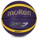 Мяч баскетбольний резиновый Molten GR7 BGR7-VY-SH Size 7 Purple-Yellow - изображение 1