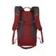 Рюкзак Travelite Offlite Sport Red 12 л TL096317-10 - зображення 3