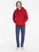 Худи мужское Puma Glitch Hoodie 53311731 S Urban Red (4064533326767) - изображение 3