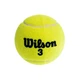 Набір м'ячів 3шт для великого тенісу Wilson CHAMPIONSHIP T1001E салатовий - зображення 4