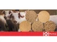 Комбікорм Purina для поросят Престартер ПРОфесійний 25кг 22001 - зображення 3
