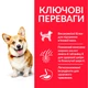 Сухой корм Hills для собак малых пород со вкусом курицы SP Canine Adult Advanced Fitness Mini 0,3 кг - изображение 3