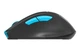 Мышь A4Tech Fstyler FG30 2000dpi Grey+Blue, USB, Wireless - изображение 5