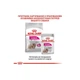 Сухий Корм ​​Royal Canin MINI EXIGENT 1 кг (3182550894029) (1006010) - зображення 3