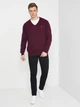 Пуловер GANT Extrafine Lambswool V-Neck 8010520 Burgyndy 3XL - изображение 4