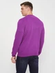 Пуловер GANT Extrafine Lambswool V-Neck 8010520 Purple L - изображение 3