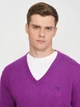 Пуловер GANT Extrafine Lambswool V-Neck 8010520 Purple L - изображение 5
