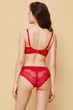 Бюстгальтер push-up Obrana 70D Малиновий-29 (76582) - зображення 5