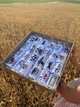 Подарочный бокс летных женских патриотических носков на 28 пар с украинской символикой 36-40 белые - изображение 5