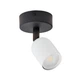 Светильник-спот TK Lighting TOP Black/White 6265 - изображение 1