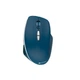 Мышка Canyon MW-21 Wireless Blue LED Blue (CNS-CMSW21BL) - изображение 1