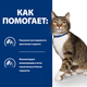 Сухой корм Hill's Prescription Diet s/d Urinary Care для кошек курицей 3 кг - изображение 4