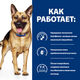 Сухой корм для собак Hill's PRESCRIPTION DIET Gastrointestinal Biome при расстройствах пищеварения с курицей 10 кг - изображение 3