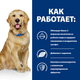 Сухой корм Hill's Prescription Diet j/d Joint Care для собак с курицей 12 кг - изображение 3