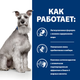 Сухой корм Hill's Prescription Diet i/d Low Fat Digestive Care для собак с курицей 1.5 кг - изображение 3