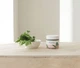 Крем успокаивающий с полынью ROUND LAB Mugwort Calming Cream 80 мл - изображение 2