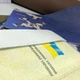 Обкладинка на паспорт Airhub Су-27 Flanker - зображення 5