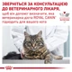 Сухий корм Royal Canin Calm Feline для котів у періоди адаптації 4 кг (3182550765367) - зображення 6
