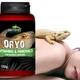 Витамины для бородатой агамы Terrario ORYO for Bearded Dragons 150г. - изображение 3